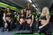 Monster Energy Girls aus Phillip Island