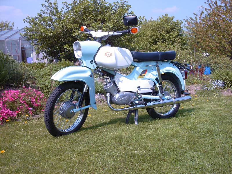 Simson - Habicht