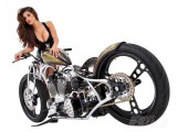 23 Zoll Custom Chrome Bi [.]