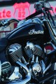 Indian Springfield 2016
