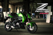 Kawasaki Z125 Spot