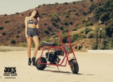 Miss Joes Minibike