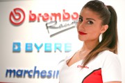 Models von der EICMA 201 [.]