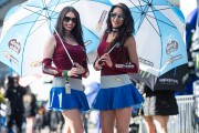 MotoGP Girls 2017 Le Man [.]