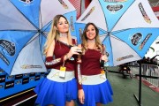 MotoGP Gridgirls und Pad [.]