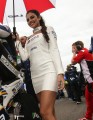MotoGP Gridgirls und Pad [.]