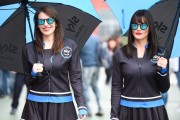 MotoGP Gridgirls und Pad [.]