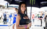 MotoGP Gridgirls und Pad [.]