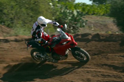 Multistrada 1200 Enduro  [.]
