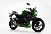 Spot zur Kawasaki Z 300 von 2015