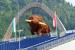 Red Bull Ring (1/1) 