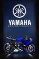 Yamaha YZF-R6 2017