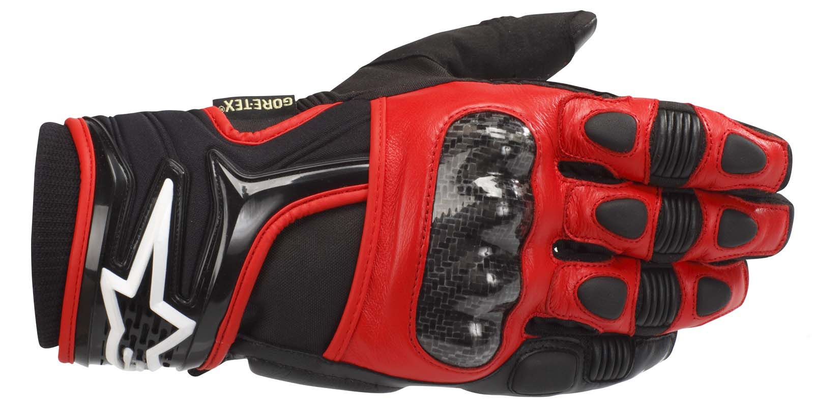 2009 Alpinestars Polar