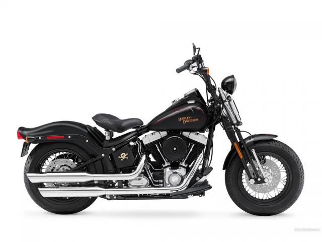 Harley-Davidson FLSTSB Rückruf