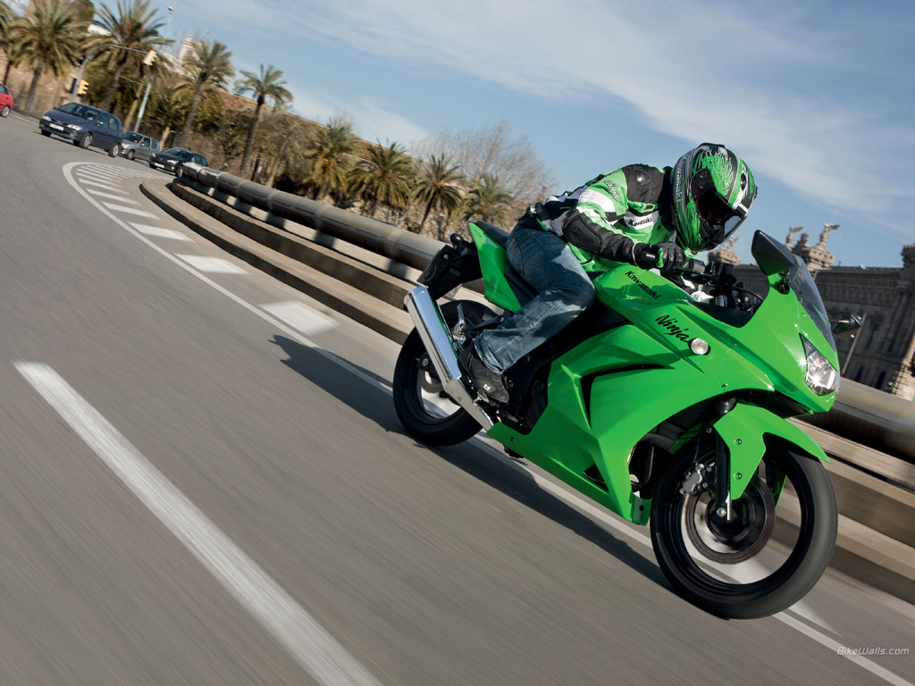 Kawasaki Ninja 250 R 2009